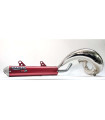 Silenciador Beta RR 250/300 14-19 (RED SILENCER CAN)