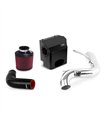 Ford Fiesta ST Air Intake Kit, 2014-2015, Polished