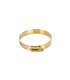 2x High-Torque Worm Gear Clamp, Gold, 101mm
