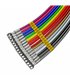 Latiguillo Hel Trasero HBR9633
