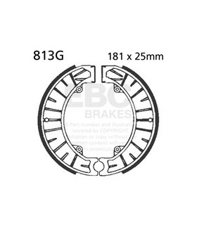 813G