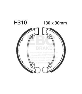 H310