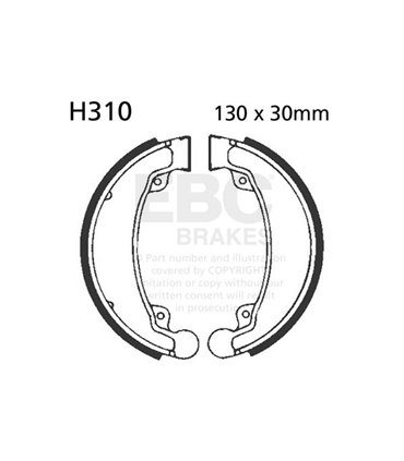 H310