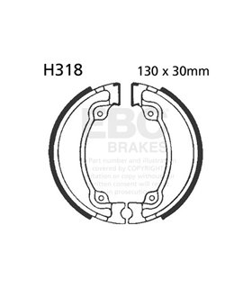 H318