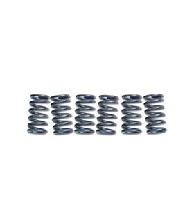 Muelles de embrague EBC CSK033