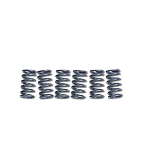 Muelles de embrague EBC CSK915