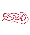 Kit de manguitos de silicona del radiador  Ford Focus 2.0L 2000-2007 , Rojo