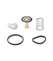 Termostato Racing Ford Fiesta ST 180 2013+