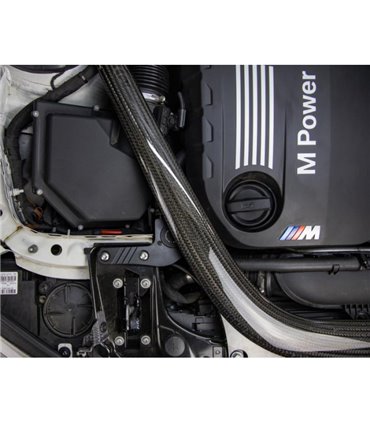 BMW F8X M3 / M4 Baffled retén del aceite Can, 2015-2020
