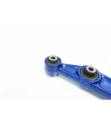 Rear Lower  Arm