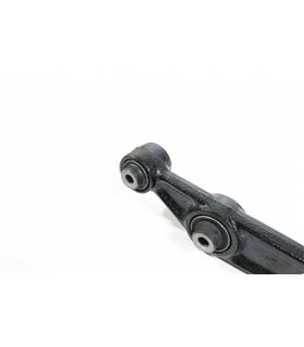 Rear Lower Arm