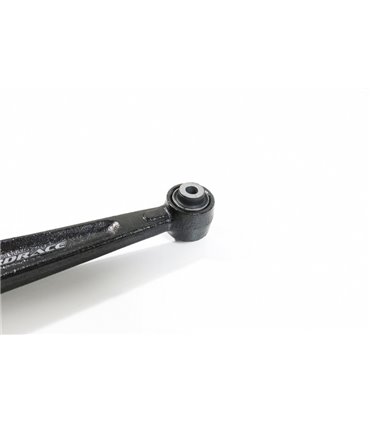Rear Lower Arm