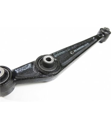 Rear Lower Arm