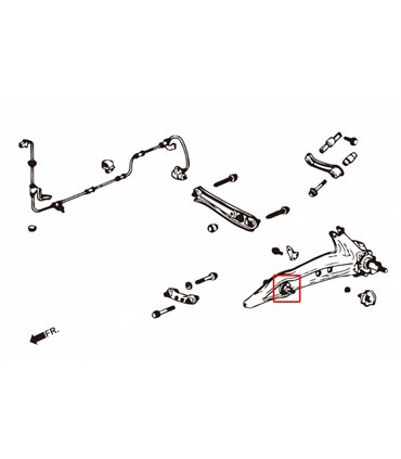 Rear Trailing Arm Bushing