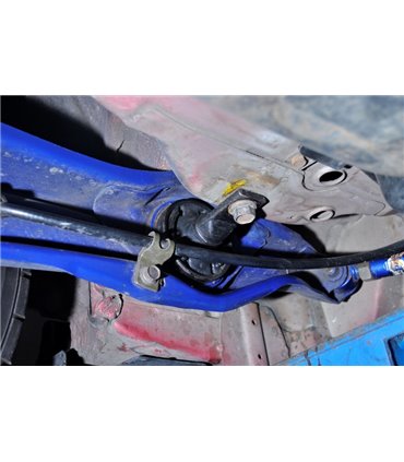 Rear Trailing Arm Bushing